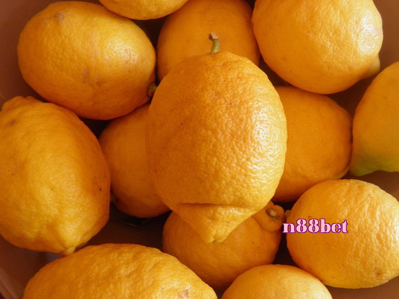 Featured image of post Chủ đề Ý tưởng Ký ức - 123win.club
