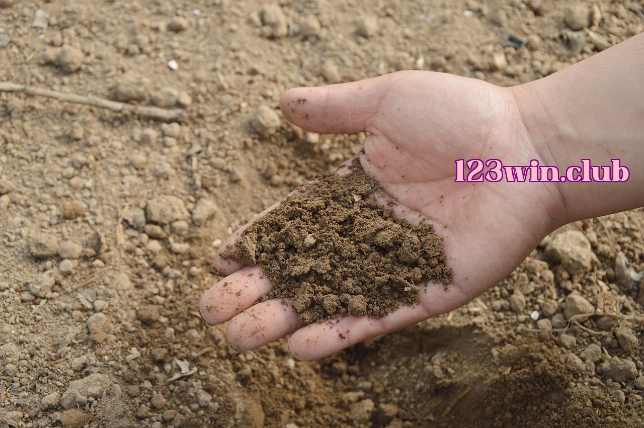 Featured image of post Không ngờ, hóa ra thẻ mạng đã bị rơi ra - j88 tặng 50k