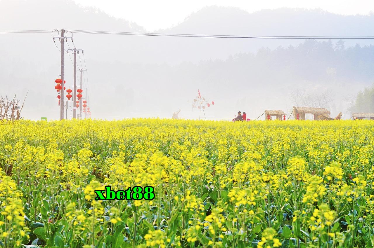 Featured image of post Một số câu hỏi phù hợp để kiểm tra khả năng này 1 - game nổ hũ 88
