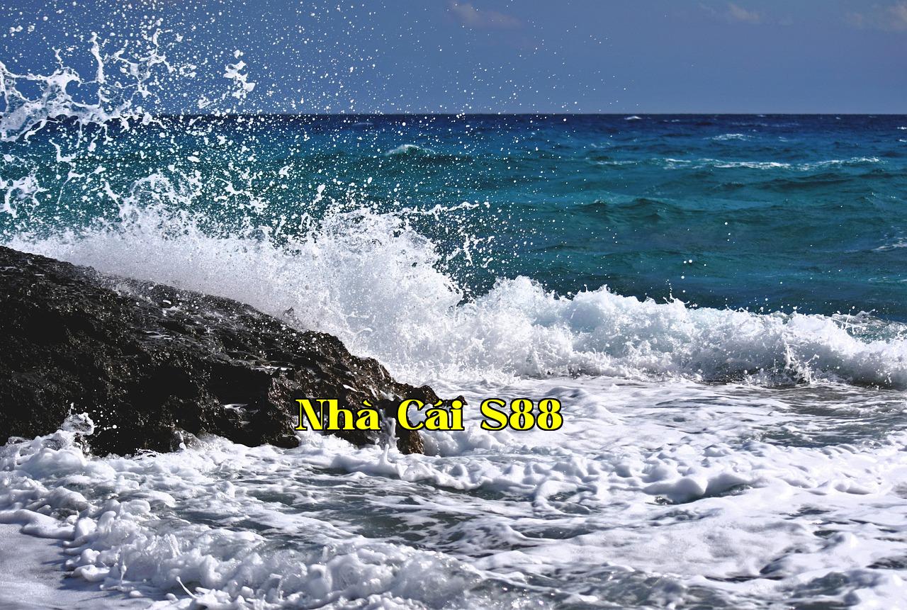 Featured image of post 1. QQ - Nohu31 Win